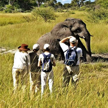 7 Days Botswana Family Safari: A Journey of Discovery and Connection 7 Days Botswana Family Safari: A Journey of Discovery and Connection